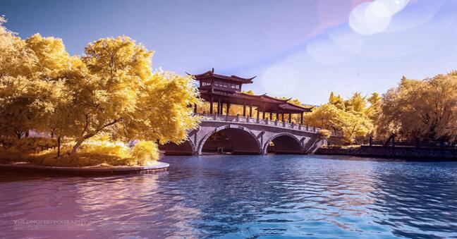 2016世界評級幣大會暨國內(nèi)外評級幣展覽展銷會